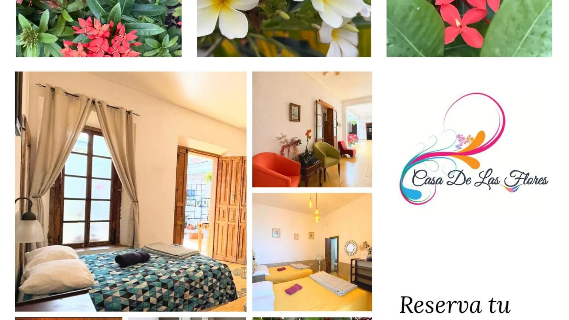 Homestay Casa De Las Flores Guatemala City