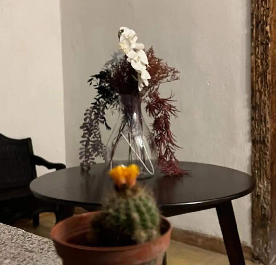 Homestay szállás Casa De Las Flores Guatemalaváros Guatemala